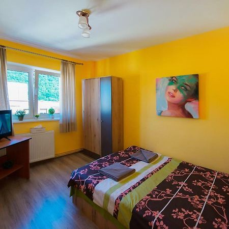 Luna Apartment Brašov Exteriér fotografie