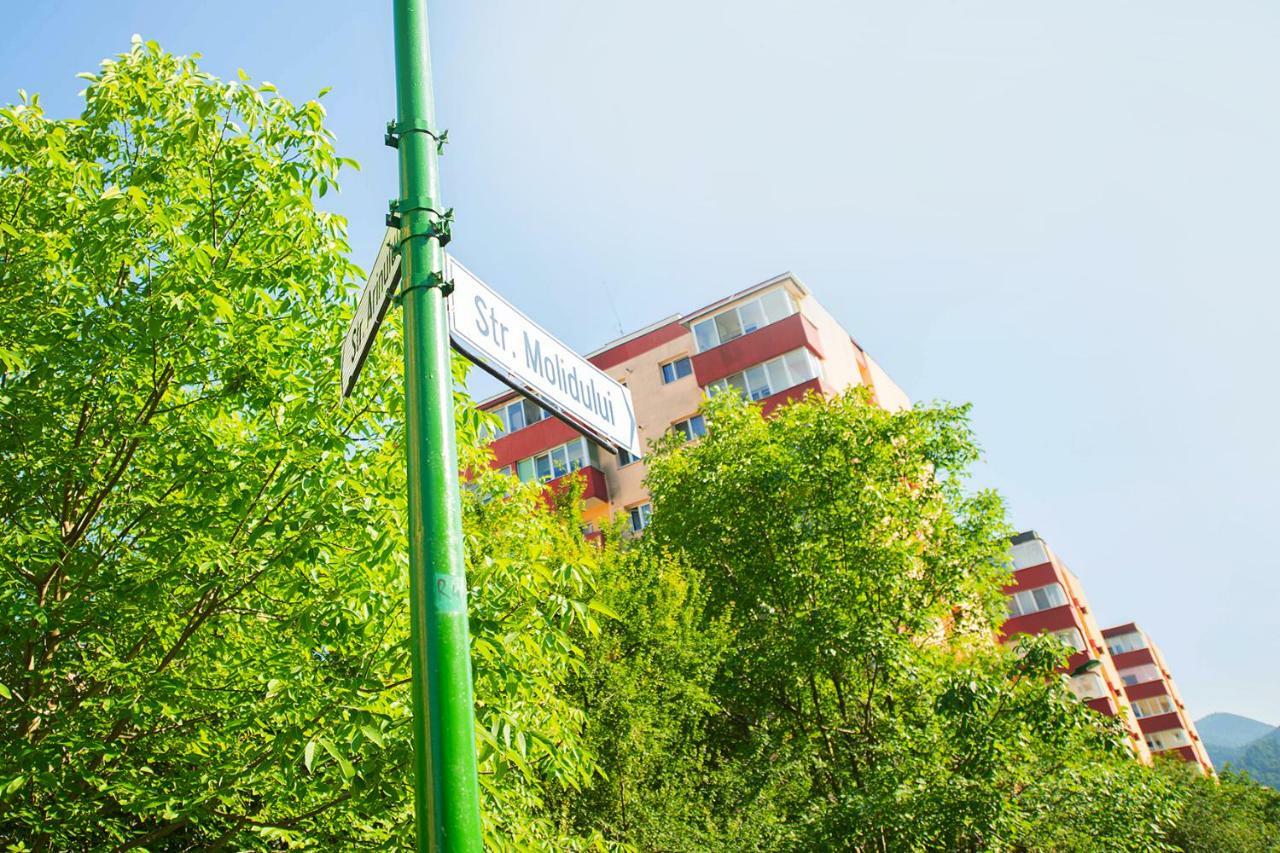 Luna Apartment Brašov Exteriér fotografie